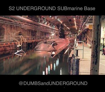 This is how they’re stealing our children and trafficking them to/from other countries!